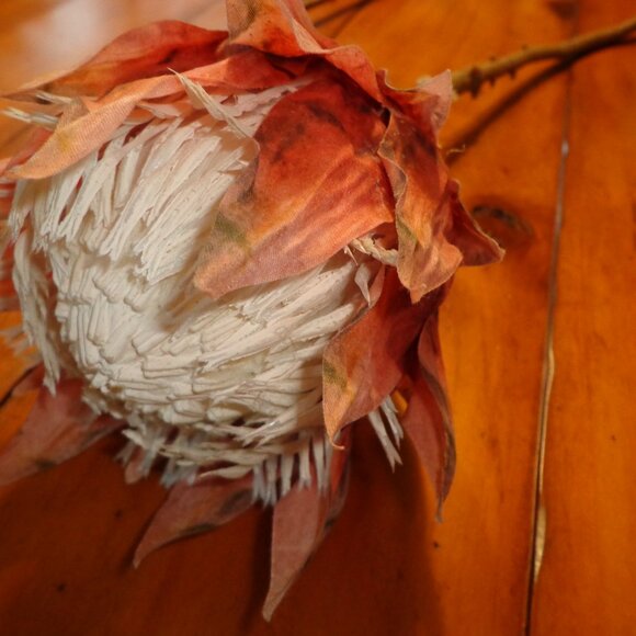 NWT Terra Cotta Faux Stemmed Flower 26" by David Christopher - Picture 2 of 7